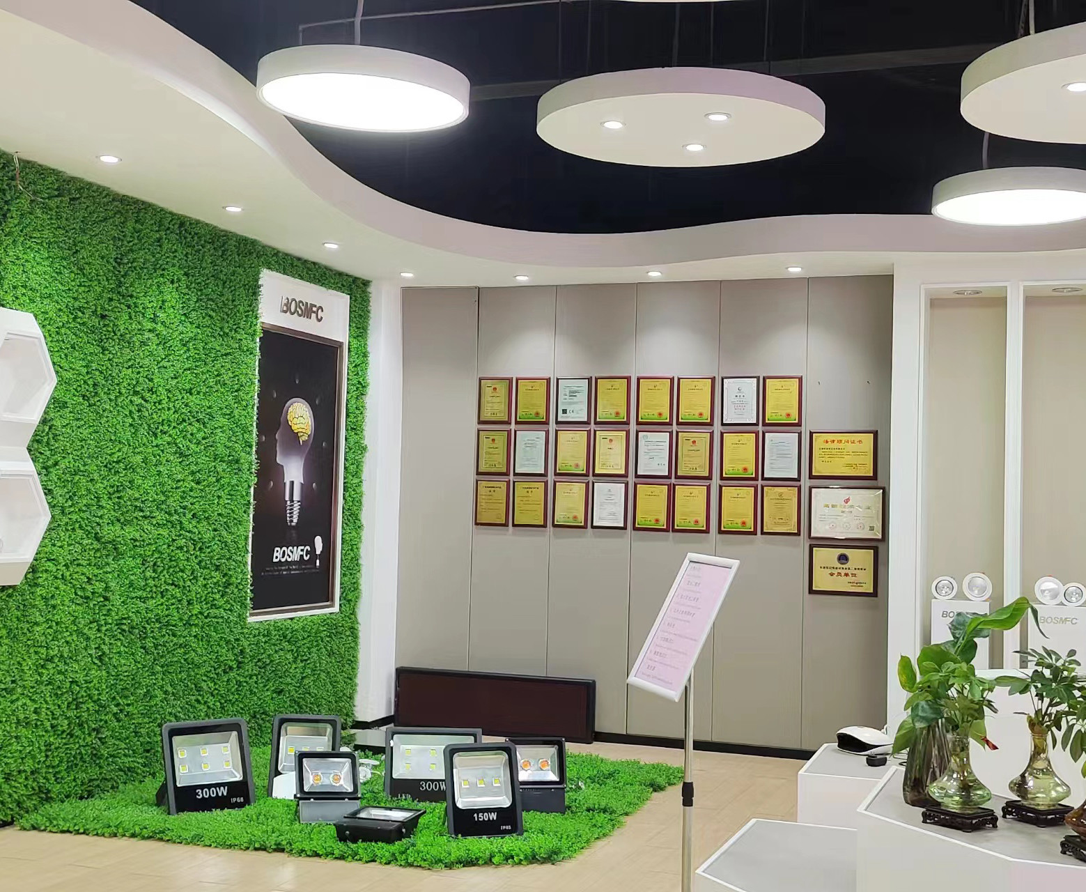 中国 Dongguan Lanjin Optoelectronics Co., Ltd. 会社概要